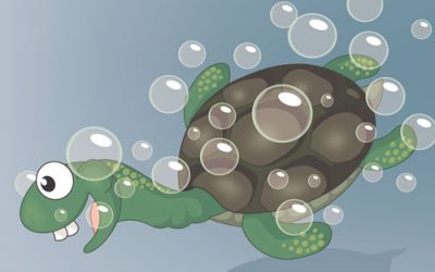 World Turtle Day – Say hello to Tiny Tim in “I Had A Little Turtle”