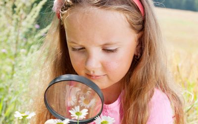 Nature play ideas for young children